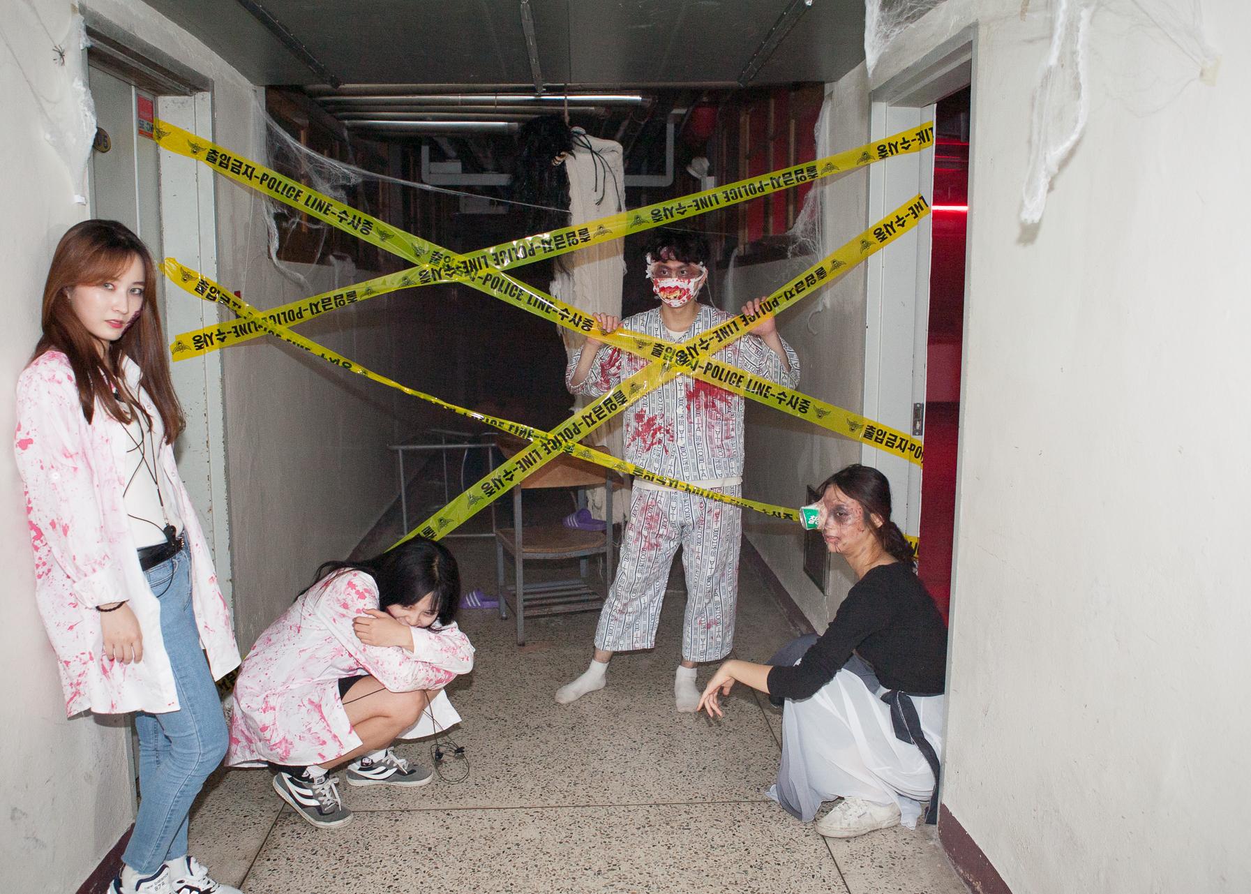 2016년 축제 대표이미지