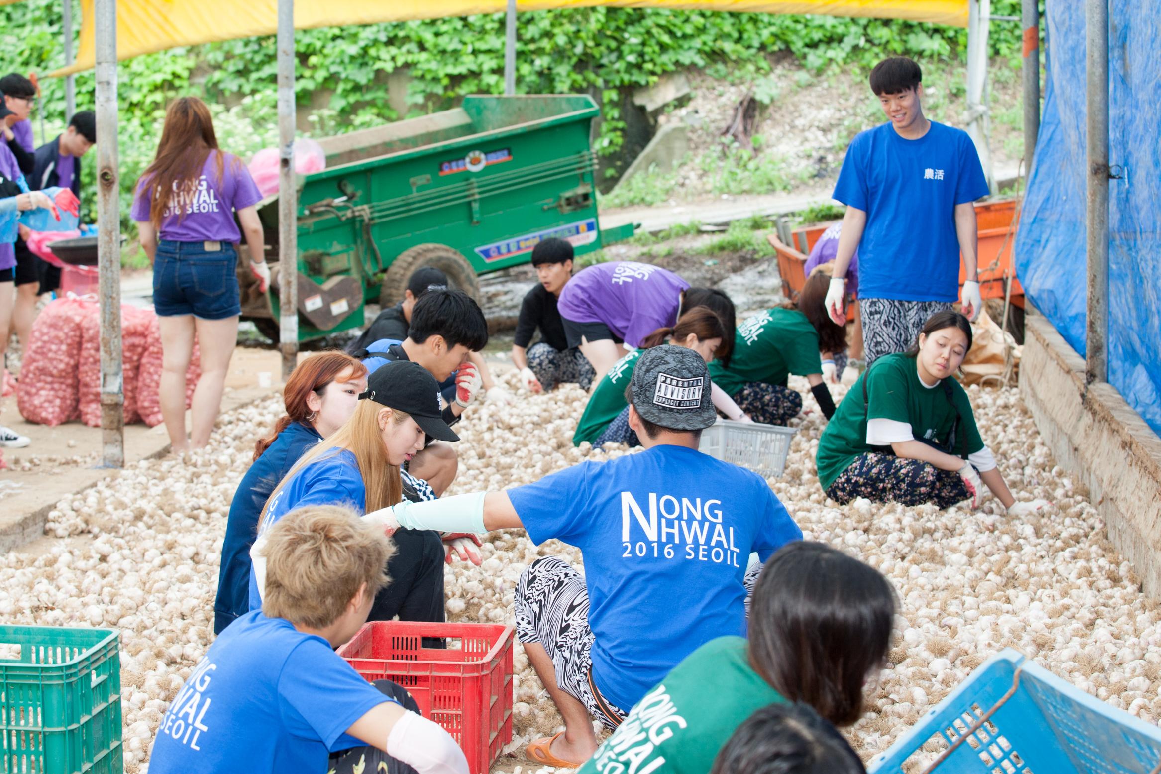 2017년 농촌활동 대표이미지