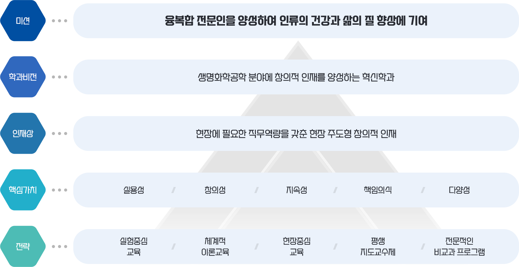 교육비전